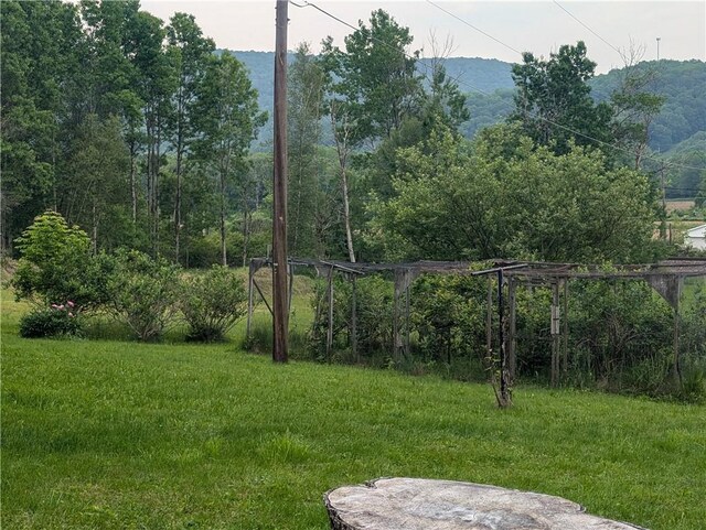3142 Rte 155, Liberty Town, PA 16743 - photo 42