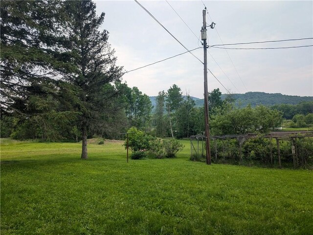 3142 Rte 155, Liberty Town, PA 16743 - photo 30