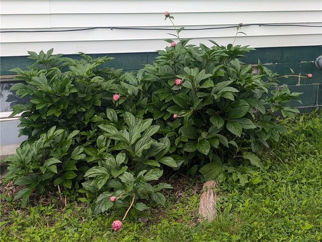 3142 Rte 155, Liberty Town, PA 16743 - photo 6