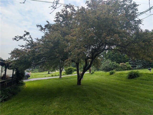 3142 Rte 155, Liberty Town, PA 16743 - photo 4