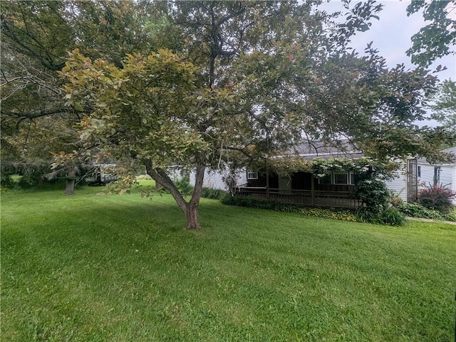 3142 Rte 155, Liberty Town, PA 16743 - photo 45
