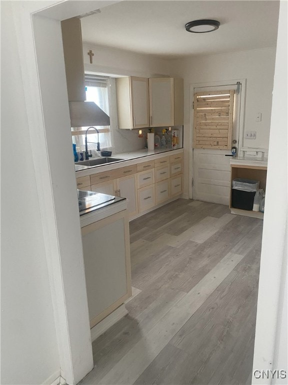 kitchen featuring light hardwood / wood-style floors and sink