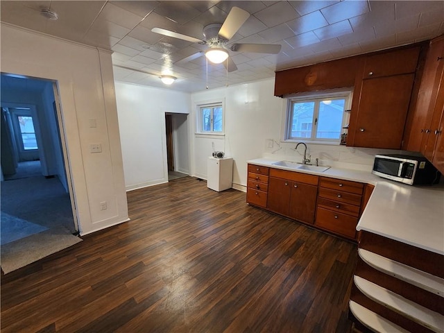 kitchen with ceiling fan, sink, and dark hardwood / wood-style floors