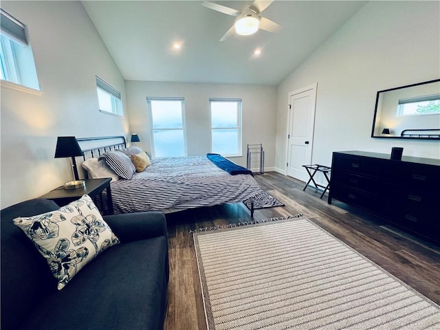 bedroom with multiple windows, ceiling fan, high vaulted ceiling, and dark hardwood / wood-style floors