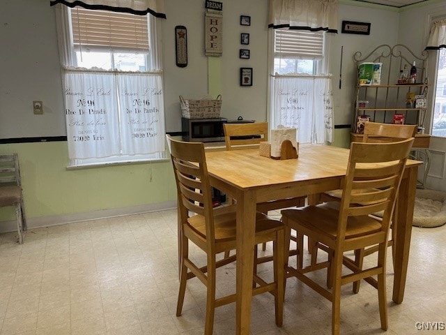 dining area featuring a wealth of natural light