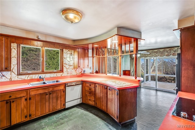 kitchen with black stovetop, white dishwasher, a healthy amount of sunlight, and sink