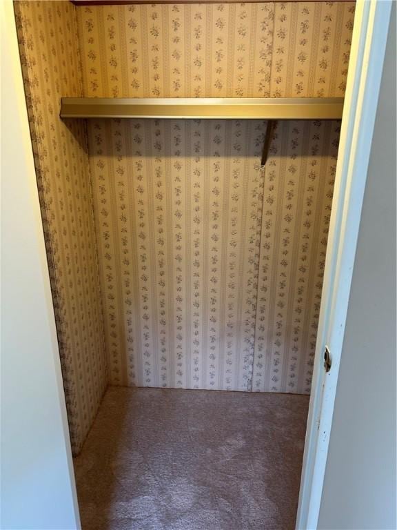 walk in closet featuring carpet floors