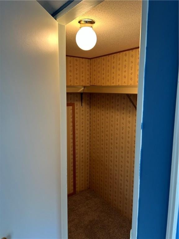 spacious closet featuring carpet floors