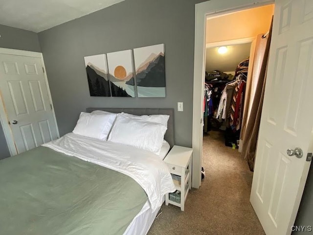 bedroom featuring a walk in closet, carpet floors, and a closet