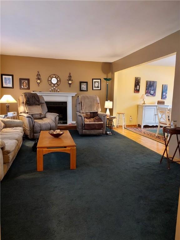 living room featuring wood-type flooring