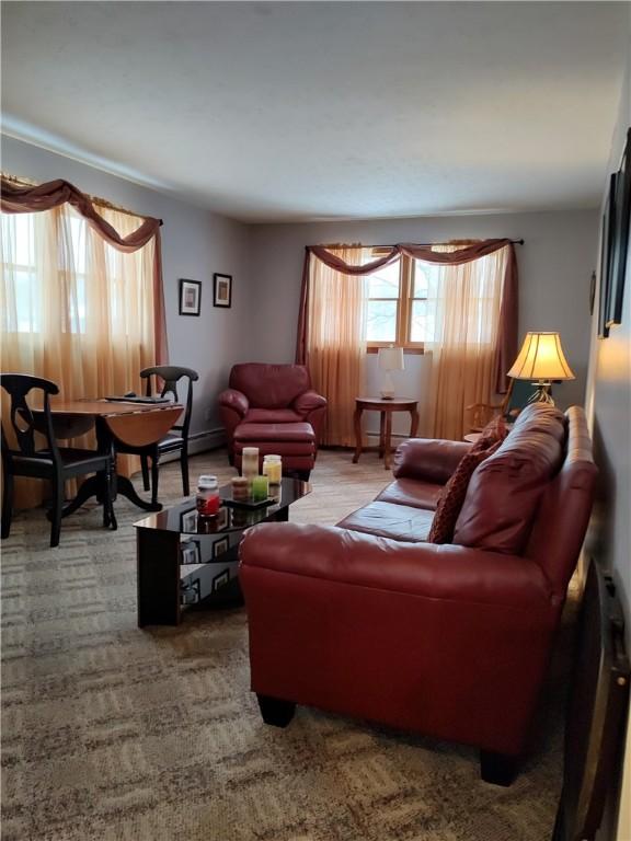 living room with carpet floors