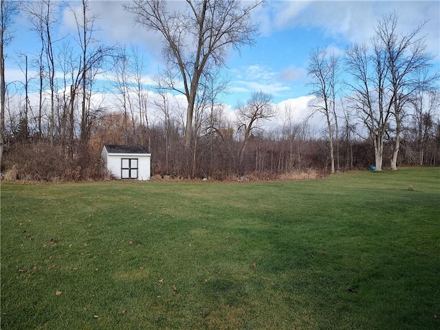 view of yard with a storage unit