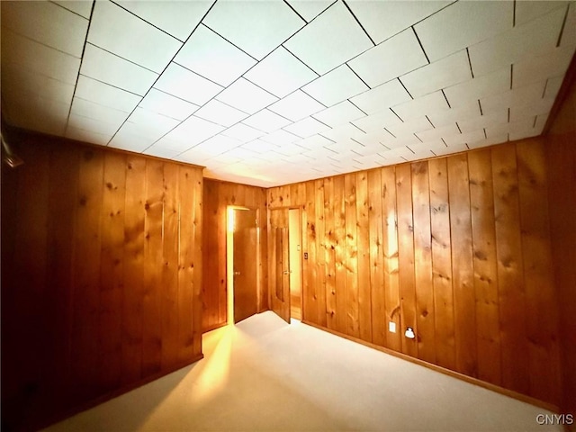 spare room featuring wooden walls and carpet