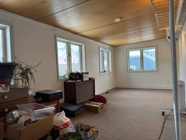 misc room with plenty of natural light, wood ceiling, and carpet