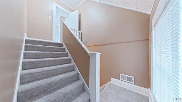 stairs with carpet floors