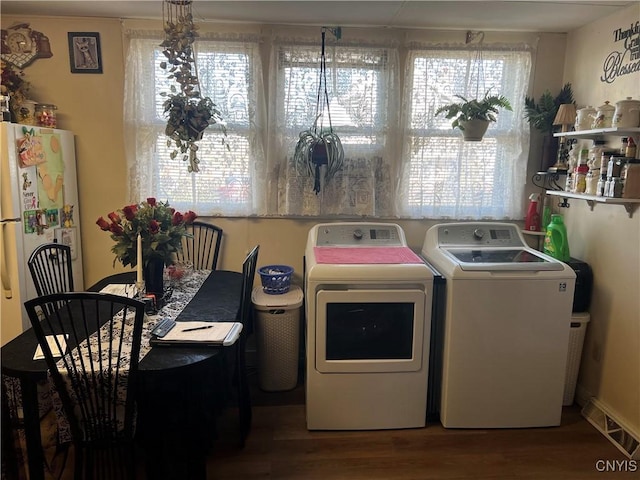 clothes washing area with independent washer and dryer and hardwood / wood-style floors