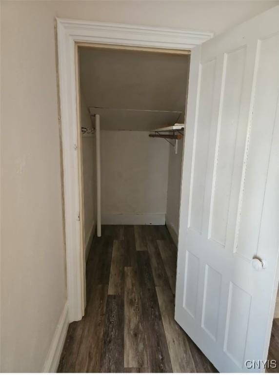 walk in closet with wood finished floors