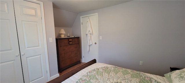 bedroom with lofted ceiling and a closet