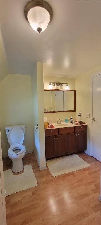 bathroom featuring vanity, toilet, and wood-type flooring