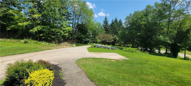 view of property's community featuring a lawn