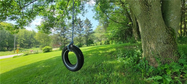 view of home's community with a lawn