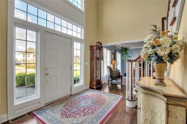 entrance foyer featuring a high ceiling, plenty of natural light, and dark wood-type flooring