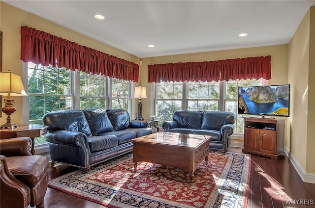 living room featuring dark hardwood / wood-style floors and plenty of natural light