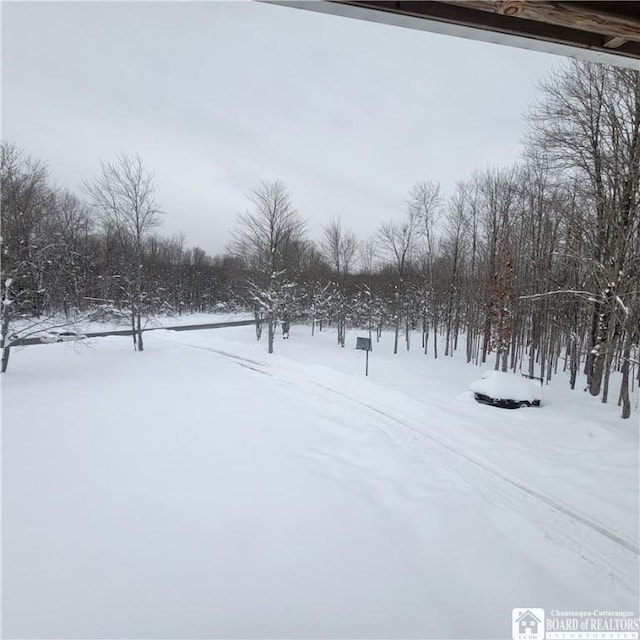 view of snowy yard