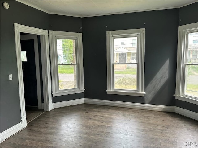 spare room featuring wood-type flooring, plenty of natural light, and ornamental molding