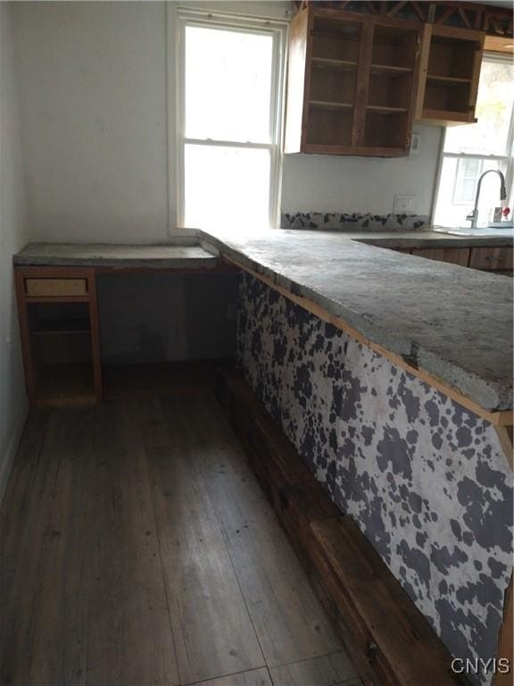 kitchen with dark hardwood / wood-style floors and sink