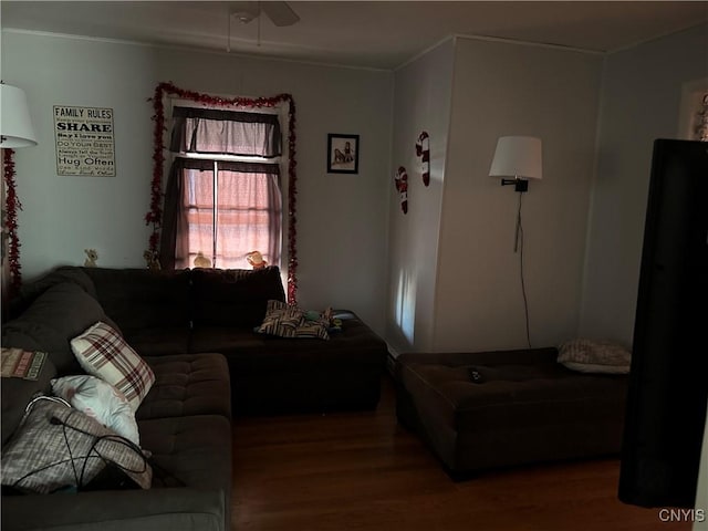 living room with hardwood / wood-style flooring and ceiling fan