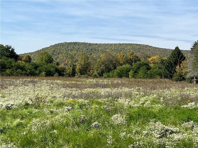 Chambers Rd, Big Flats NY, 14845 land for sale