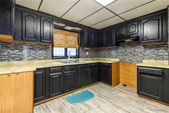 kitchen with backsplash, a paneled ceiling, sink, and light wood-type flooring