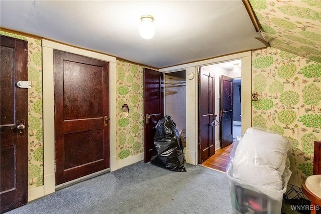 foyer entrance with vaulted ceiling and carpet