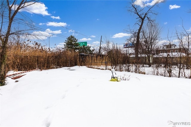 view of yard covered in snow