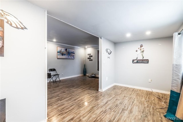 basement with hardwood / wood-style flooring