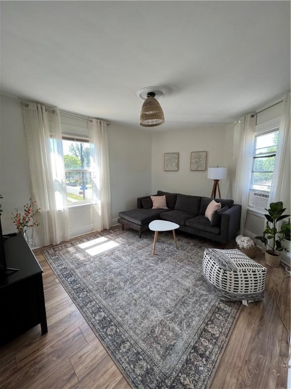 living room featuring hardwood / wood-style floors and a healthy amount of sunlight