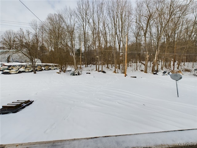 view of yard layered in snow