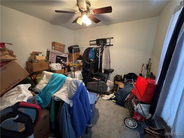 storage room featuring ceiling fan