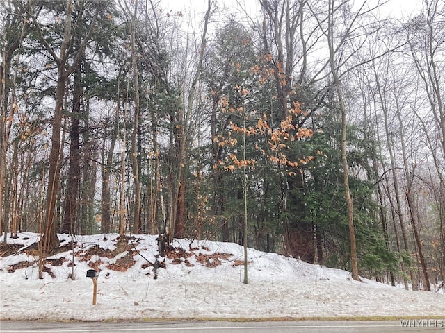 8978 Jennings Rd, Eden NY, 14057 land for sale