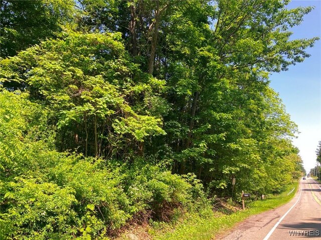 8978 Jennings Rd, Eden, NY 14057 - photo 2