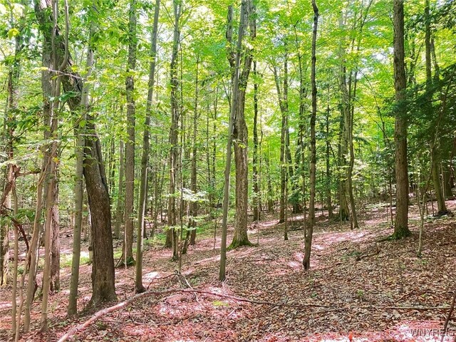 8978 Jennings Rd, Eden, NY 14057 - photo 7