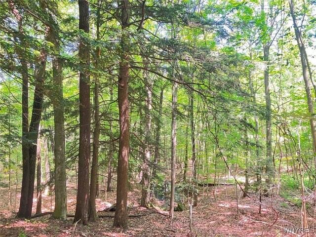 8978 Jennings Rd, Eden, NY 14057 - photo 9