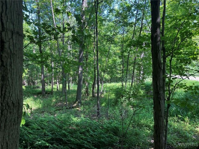 8978 Jennings Rd, Eden, NY 14057 - photo 13