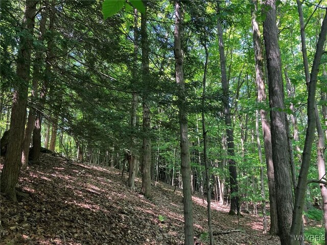 8978 Jennings Rd, Eden, NY 14057 - photo 14