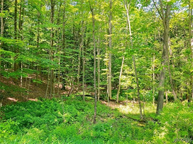 8978 Jennings Rd, Eden, NY 14057 - photo 16