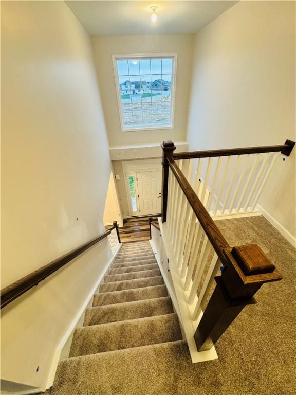 stairs featuring carpet floors