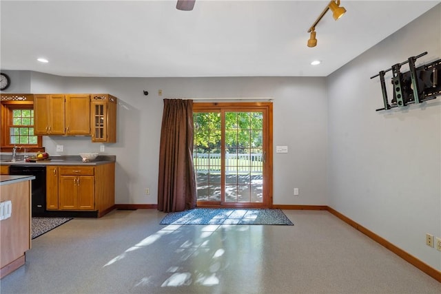 kitchen with rail lighting, dishwasher, a healthy amount of sunlight, and sink