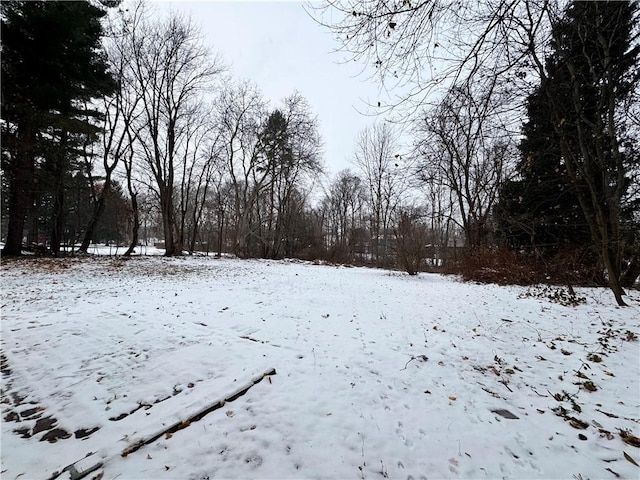 view of yard layered in snow