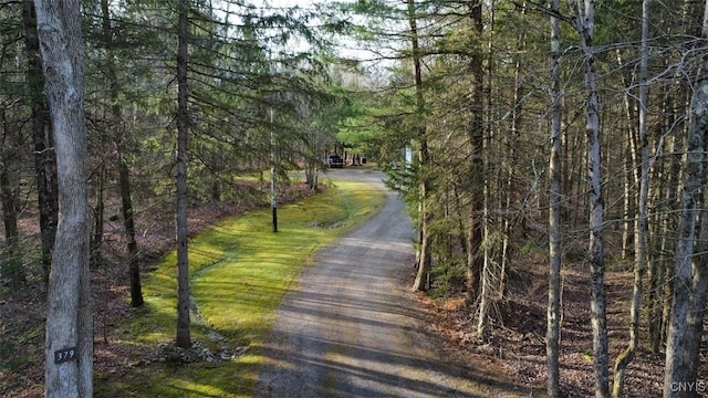 view of road